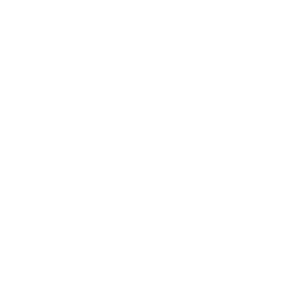 missing-icon